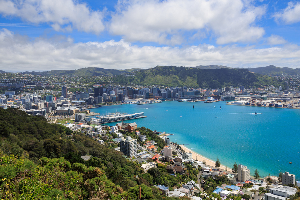 Hafen und Innenstadt von Wellington City