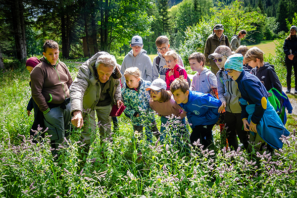 EVN Naturexperte Dr. Johann Brabenetz mit Kindern im Grünen auf Blumen zeigend